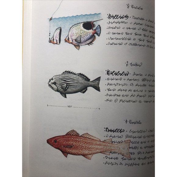 Luigi Serafini Codex Seraphinianus Print 83A - Picture 5 of 8